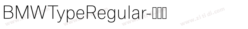 BMWTypeRegular字体转换 BMWTypeRegular字体转换