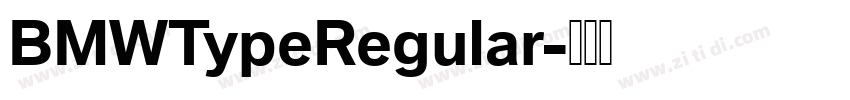 BMWTypeRegular字体转换 BMWTypeRegular字体转换