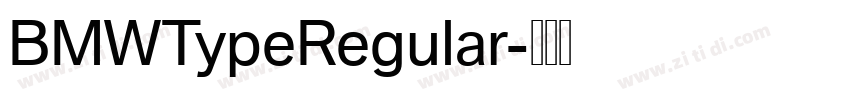 BMWTypeRegular字体转换 BMWTypeRegular字体转换