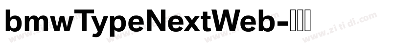 bmwTypeNextWeb字体转换 bmwTypeNextWeb字体转换