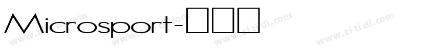 Microsport字体转换