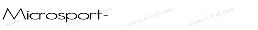 Microsport字体转换