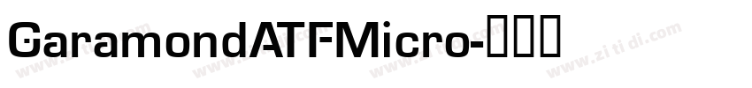 GaramondATFMicro字体转换