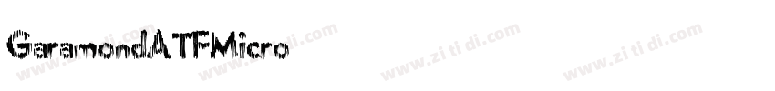 GaramondATFMicro字体转换
