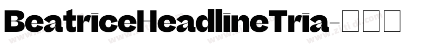 BeatriceHeadlineTria字体转换