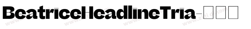 BeatriceHeadlineTria字体转换