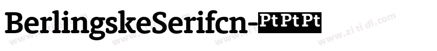 BerlingskeSerifcn字体转换