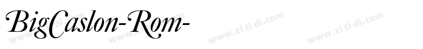 BigCaslon-Rom字体转换 BigCaslon-Rom字体转换