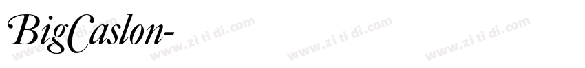 BigCaslon字体转换 BigCaslon字体转换