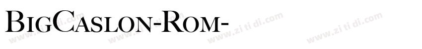 BigCaslon-Rom字体转换 BigCaslon-Rom字体转换