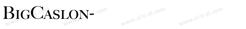 BigCaslon字体转换 BigCaslon字体转换