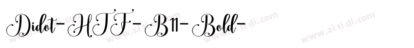 Didot-HTF-B11-Bold字体转换
