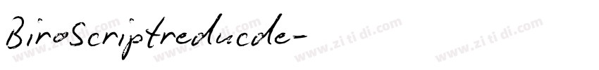 BiroScriptreducde字体转换
