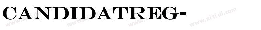 CandidaTReg字体转换