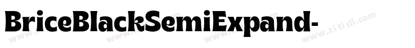 BriceBlackSemiExpand字体转换 BriceBlackSemiExpand字体转换