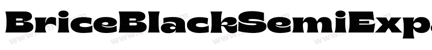 BriceBlackSemiExpand字体转换 BriceBlackSemiExpand字体转换