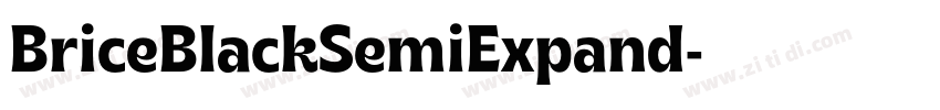 BriceBlackSemiExpand字体转换 BriceBlackSemiExpand字体转换