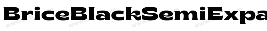 BriceBlackSemiExpand字体转换 BriceBlackSemiExpand字体转换