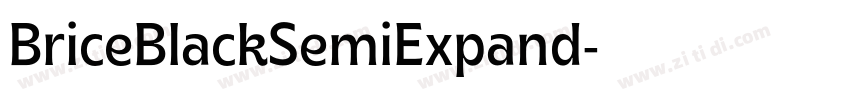 BriceBlackSemiExpand字体转换 BriceBlackSemiExpand字体转换