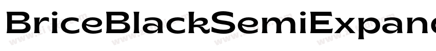 BriceBlackSemiExpand字体转换 BriceBlackSemiExpand字体转换