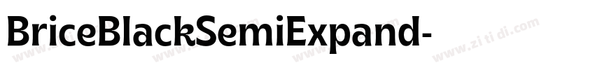 BriceBlackSemiExpand字体转换 BriceBlackSemiExpand字体转换