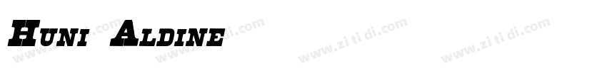 Huni_Aldine字体转换