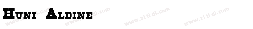 Huni_Aldine字体转换
