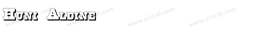 Huni_Aldine字体转换
