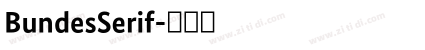 BundesSerif字体转换 BundesSerif字体转换