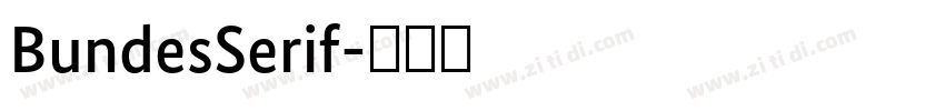 BundesSerif字体转换 BundesSerif字体转换