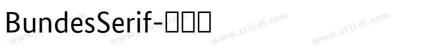 BundesSerif字体转换 BundesSerif字体转换