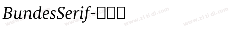 BundesSerif字体转换 BundesSerif字体转换