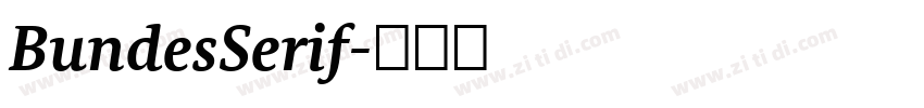 BundesSerif字体转换 BundesSerif字体转换