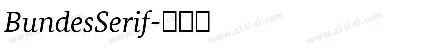 BundesSerif字体转换 BundesSerif字体转换