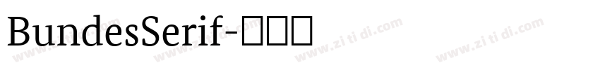 BundesSerif字体转换 BundesSerif字体转换