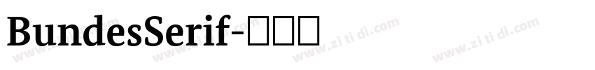 BundesSerif字体转换 BundesSerif字体转换