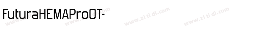 FuturaHEMAProOT字体转换