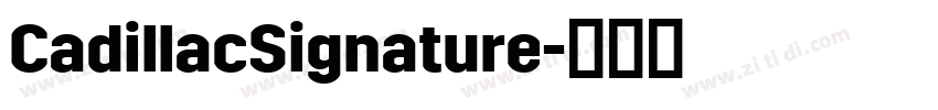 CadillacSignature字体转换 CadillacSignature字体转换