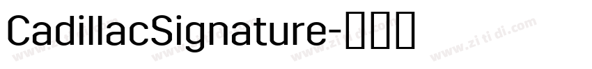 CadillacSignature字体转换 CadillacSignature字体转换