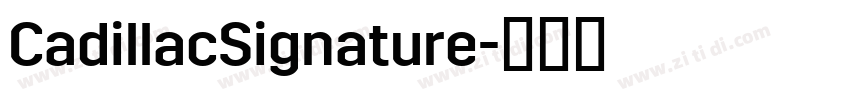 CadillacSignature字体转换 CadillacSignature字体转换