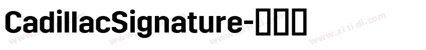 CadillacSignature字体转换 CadillacSignature字体转换