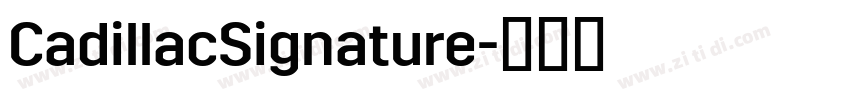 CadillacSignature字体转换 CadillacSignature字体转换