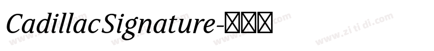 CadillacSignature字体转换 CadillacSignature字体转换