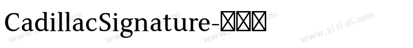 CadillacSignature字体转换 CadillacSignature字体转换