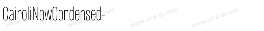 CairoliNowCondensed字体转换 CairoliNowCondensed字体转换