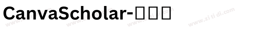 CanvaScholar字体转换