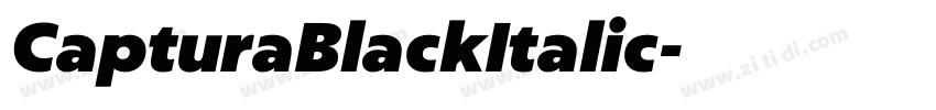 CapturaBlackItalic字体转换