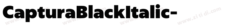 CapturaBlackItalic字体转换