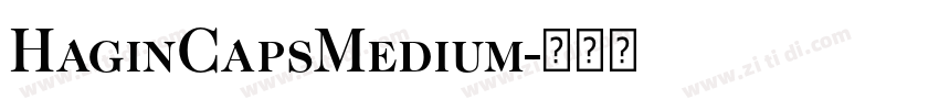 HaginCapsMedium字体转换 HaginCapsMedium字体转换