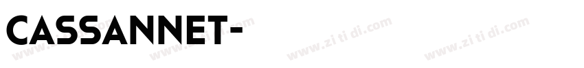 Cassannet字体转换